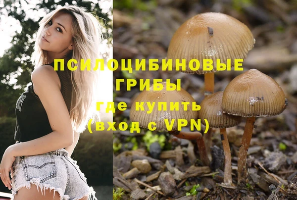 альфа пвп Козловка