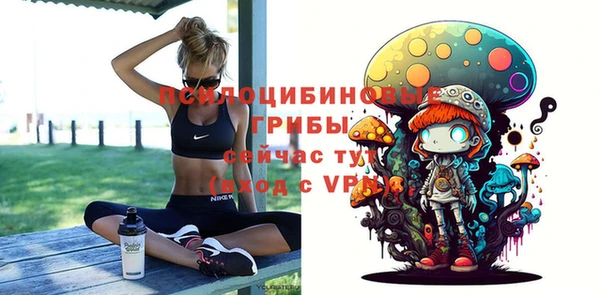 круглые Кодинск