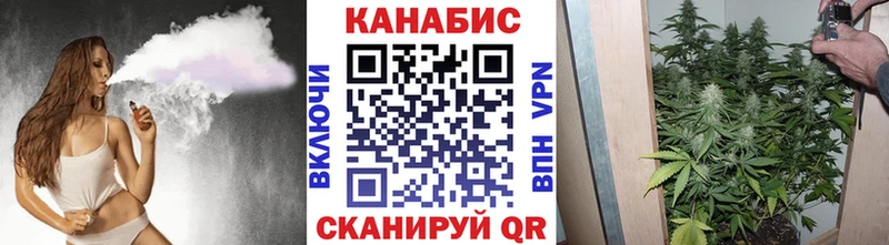 Купить  Хасавюрт  Бошки марихуана конопля 